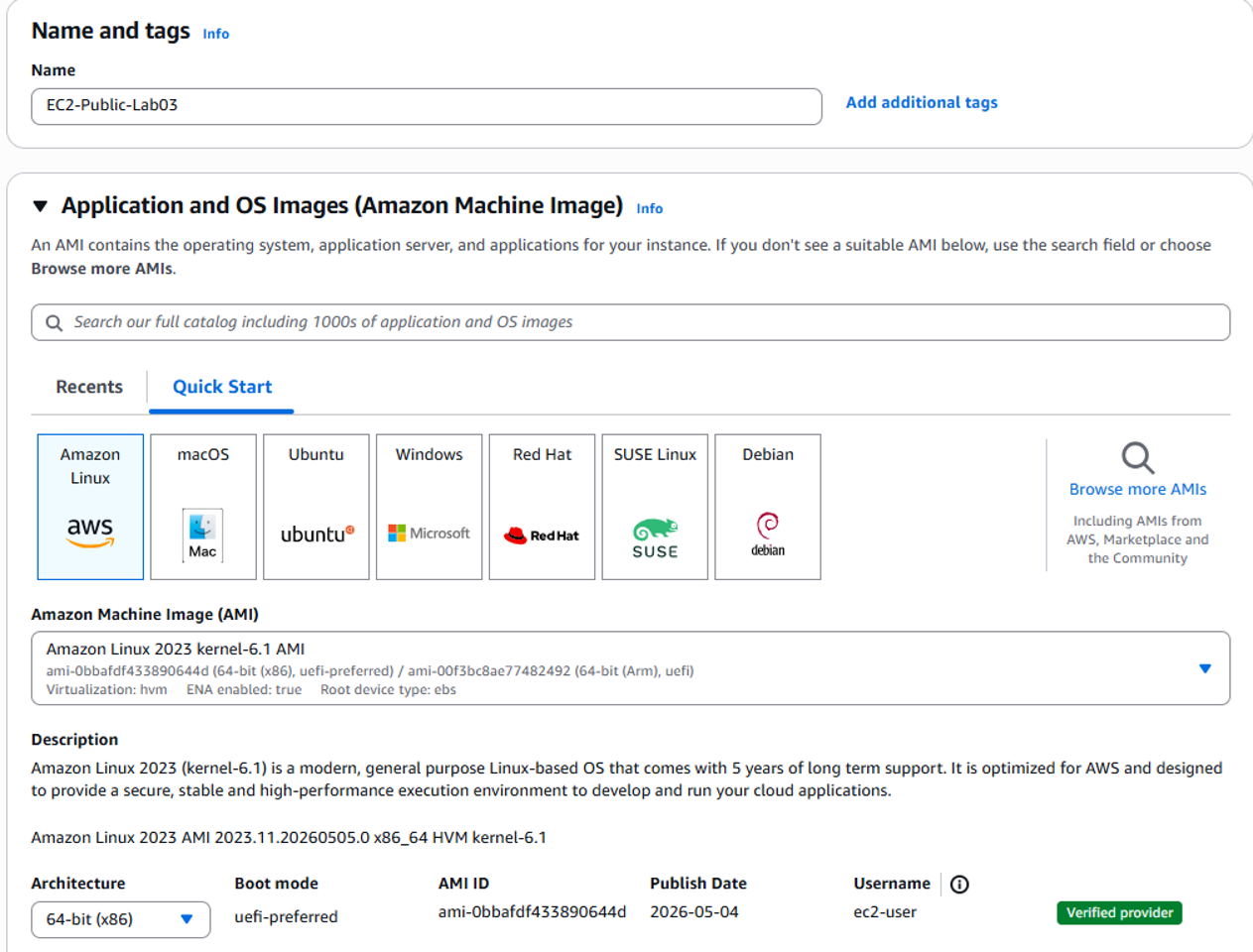 Launch public EC2