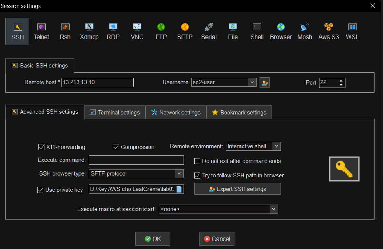 MobaXterm setting SSH