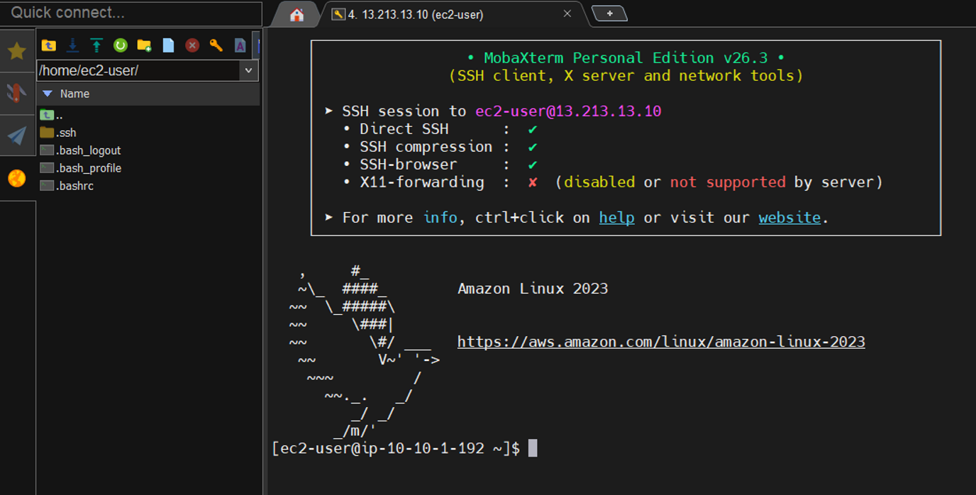 SSH terminal successful