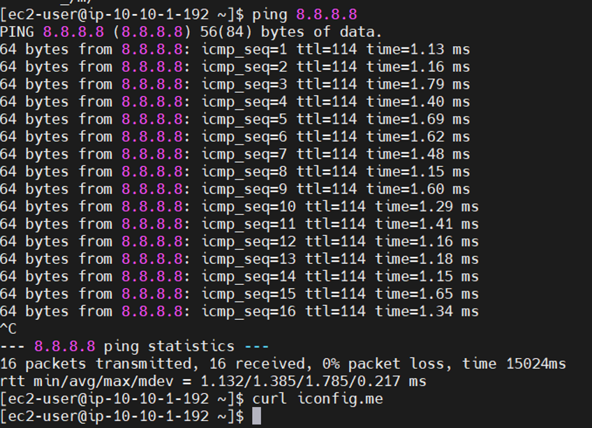 Ping test from EC2