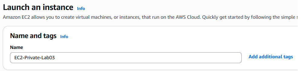 Launch private EC2