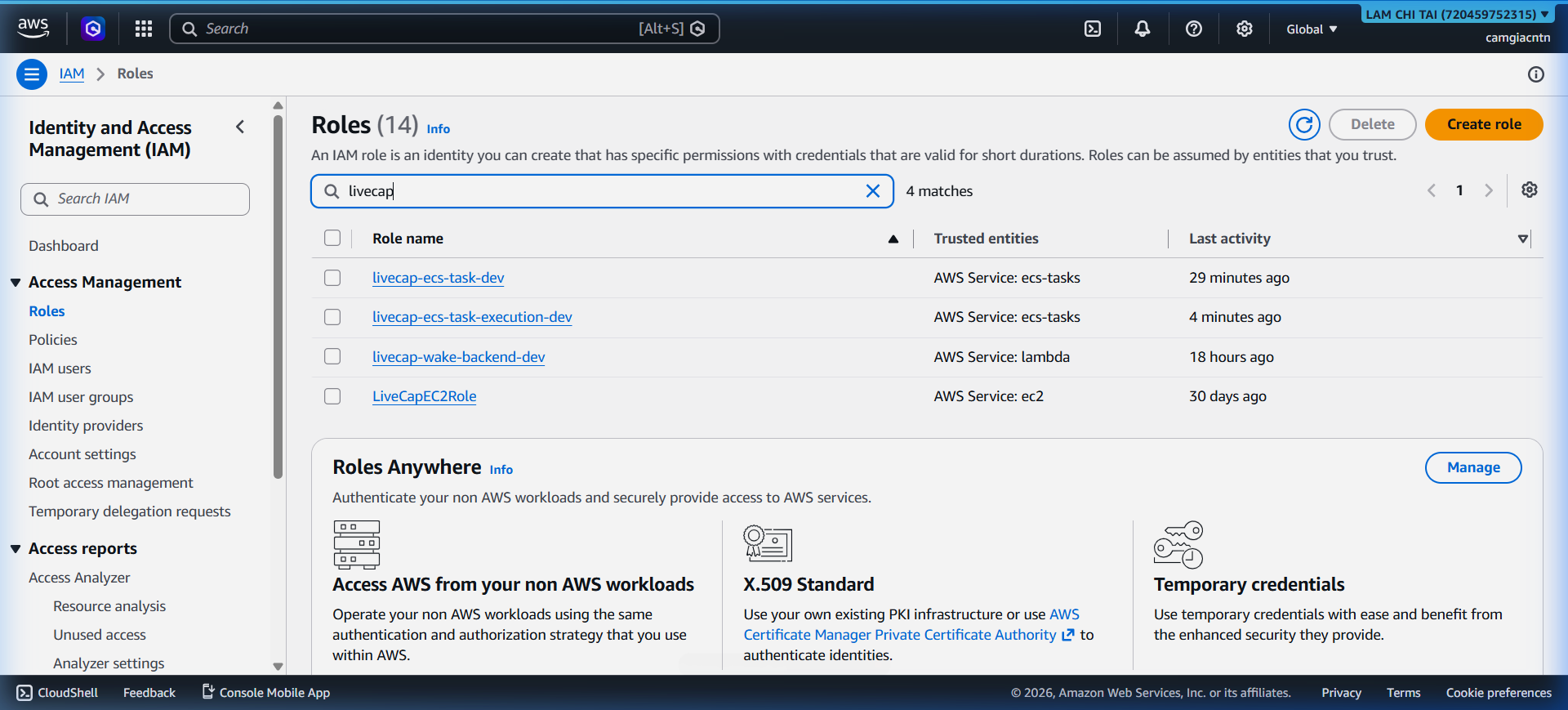 IAM roles filtered for livecap – showing task role and execution role